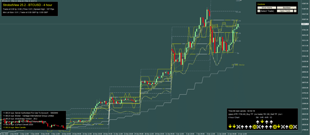 bitcoin rally