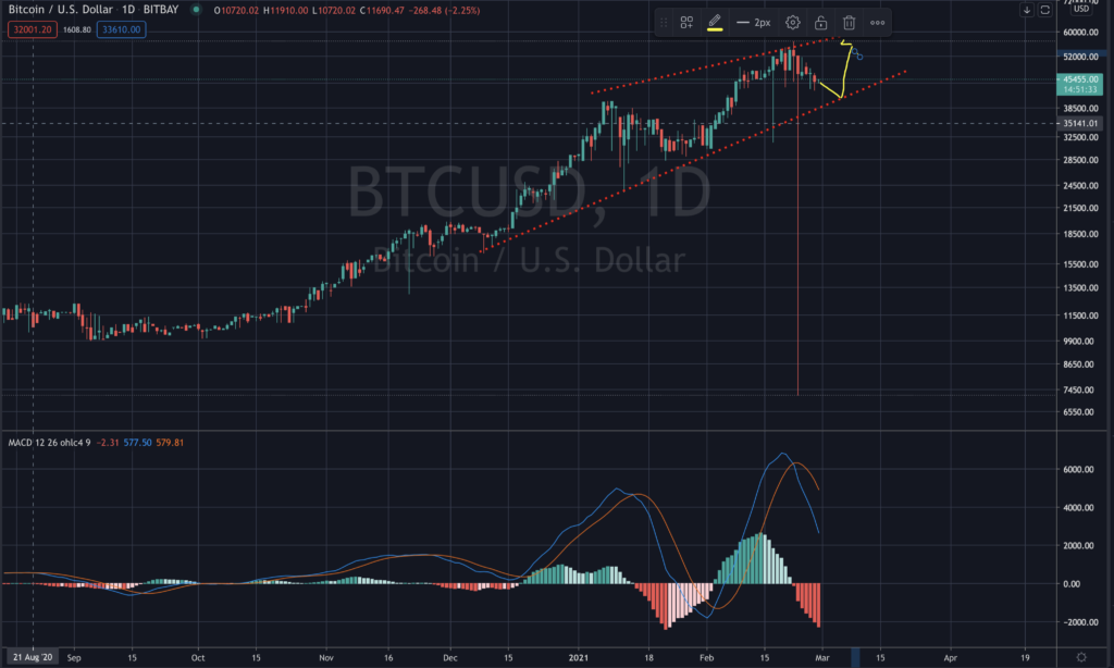 BTC Bitcoin