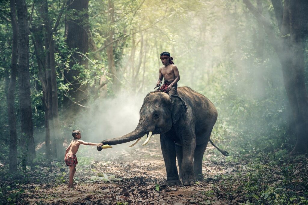 India crypto